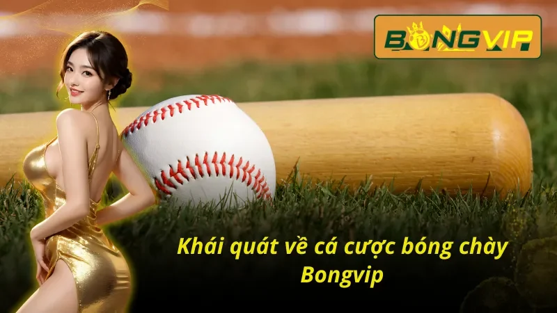 Cá Cược Bóng Chày Bongvip Cực Dễ Hiểu Cho Người Chơi Mới 2 Tổng quan những thông tin cơ bản về bóng chày bongvip
