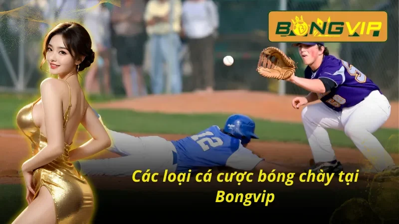 Cá Cược Bóng Chày Bongvip Cực Dễ Hiểu Cho Người Chơi Mới 6 Cá cược bóng chày bongvip trải nghiệm đa dạng và hấp dẫn
