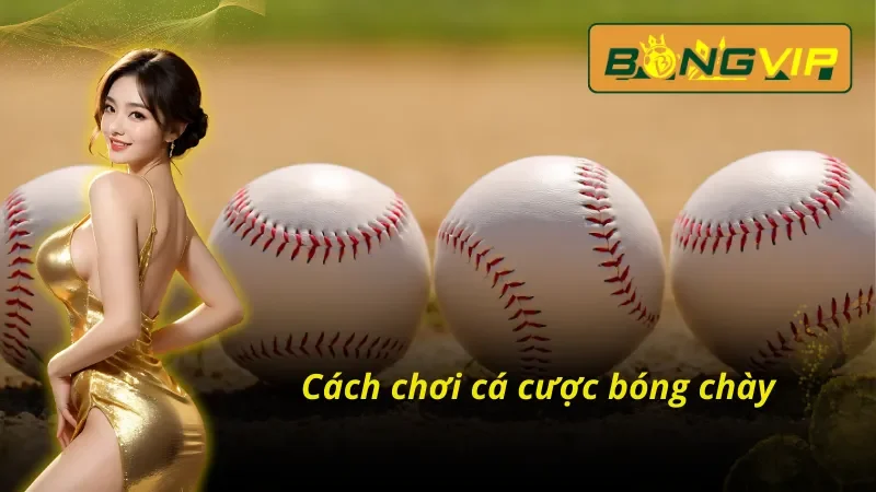 Cá Cược Bóng Chày Bongvip Cực Dễ Hiểu Cho Người Chơi Mới 5 Cách chơi cá cược bóng chày Bongvip vô cùng hiệu quả
