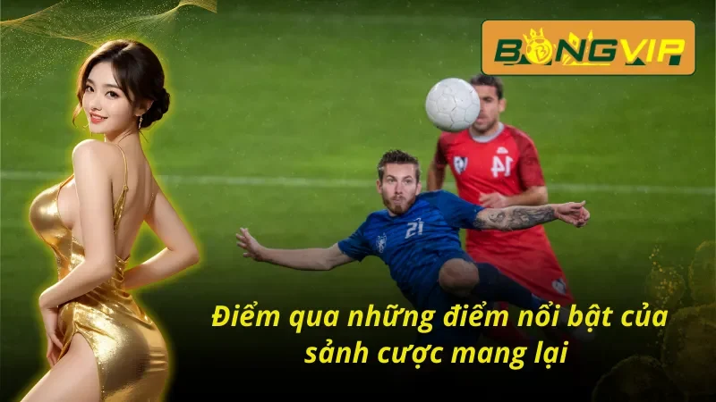 Bóng Đá Bongvip - Nơi Hội Tụ Những Tín Đồ Cùng Đam Mê 3 Điểm qua những điểm nổi bật của Bóng đá Bongvip