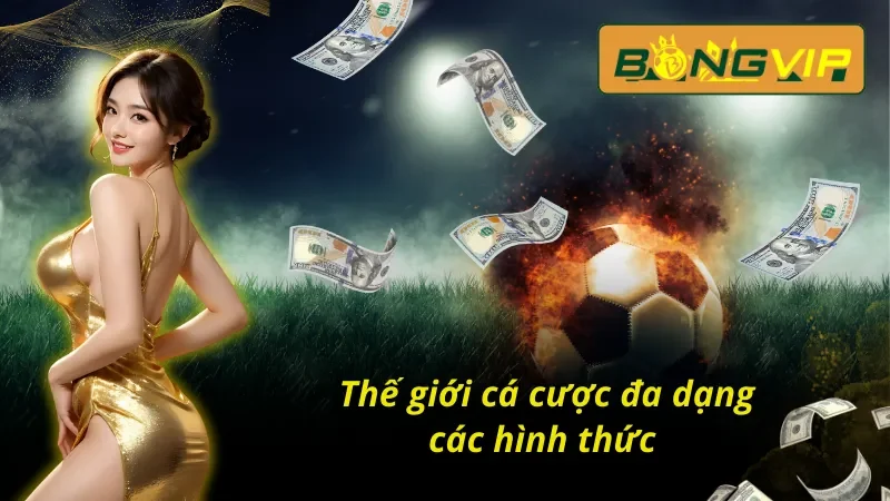 Bóng Đá Bongvip - Nơi Hội Tụ Những Tín Đồ Cùng Đam Mê 5 Kho tàng các loại hình cá cược cùng Bóng đá Bongvip