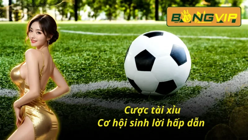 Bóng Đá Bongvip - Nơi Hội Tụ Những Tín Đồ Cùng Đam Mê 6 Hình thức cá cược thú vị của Bóng đá Bongvip
