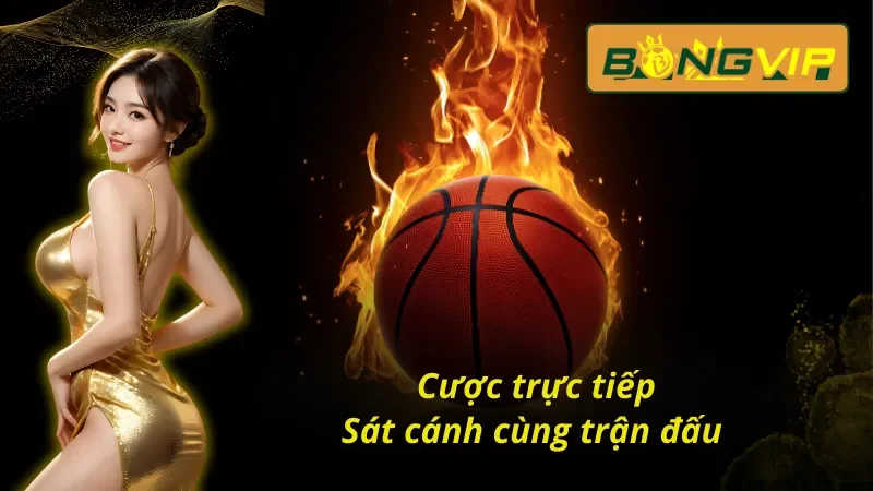 Bóng Rổ Bongvip - Địa Điểm Đam Mê Gặp Gỡ Cuộc Chơi 5 Bóng rổ Bongvip với hệ thống cá cược đẳng cấp