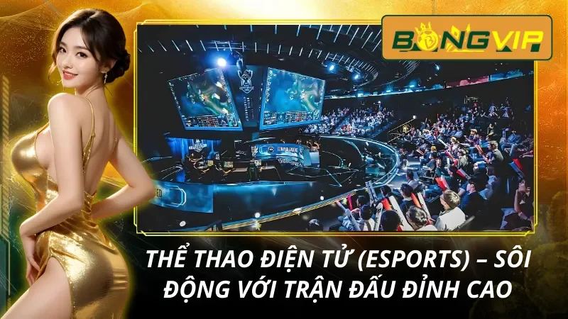 Trang Chủ 36 Trải nghiệm thể thao điện tử cực chất cùng Bongvip