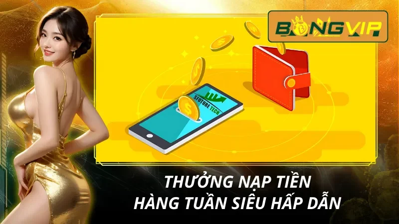 Trang Chủ 40 Thưởng nạp siêu cấp cực khủng cùng nhà cái Bongvip