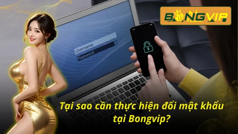 Cách Đổi Mật Khẩu Bongvip Đơn Giản, An Toàn Cho Tài Khoản 3 Cách đổi mật khẩu Bongvip an toàn