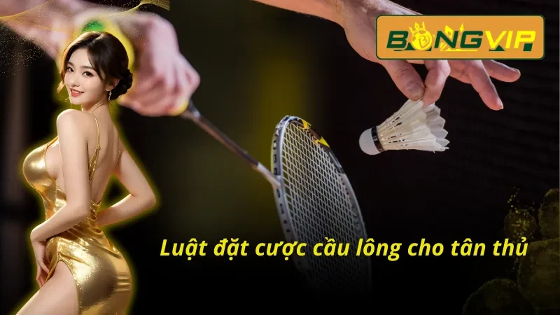 Loại Hình Cá Cược Cầu Lông Bongvip Ấn Tượng Nhất 2024 4 Những điều cần biết khi tham gia đặt cược cầu lông Bongvip