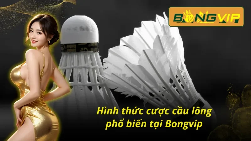 Loại Hình Cá Cược Cầu Lông Bongvip Ấn Tượng Nhất 2024 6 Hình thức cược cầu lông Bongvip phổ biến không thể bỏ qua