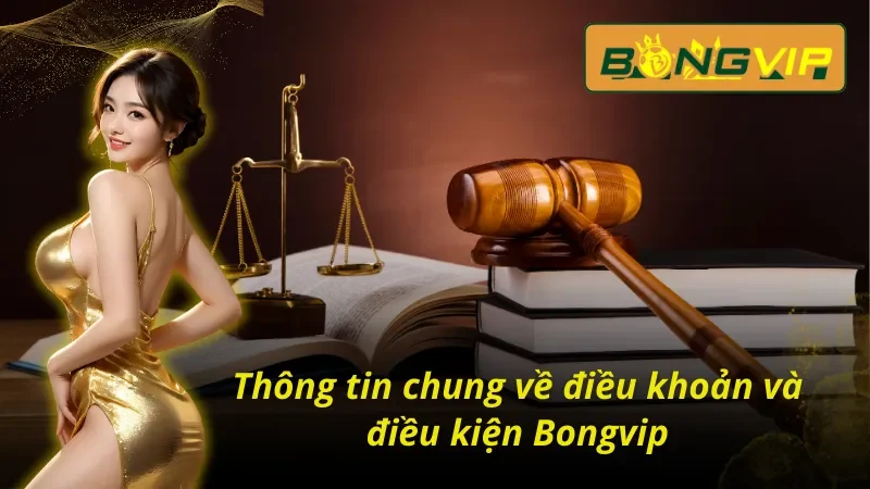 Cập Nhật Các Điều Khoản Và Điều Kiện Bongvip Mới Nhất 1 Thông tin chung về điều khoản và điều kiện Bongvip