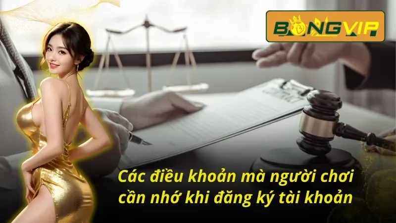 Cập Nhật Các Điều Khoản Và Điều Kiện Bongvip Mới Nhất 2 Các điều khoản và điều kiện Bongvip cần nhớ