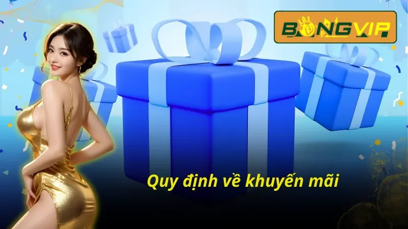 Cập Nhật Các Điều Khoản Và Điều Kiện Bongvip Mới Nhất 3 Điều khoản và điều kiện Bongvip về khuyến mãi