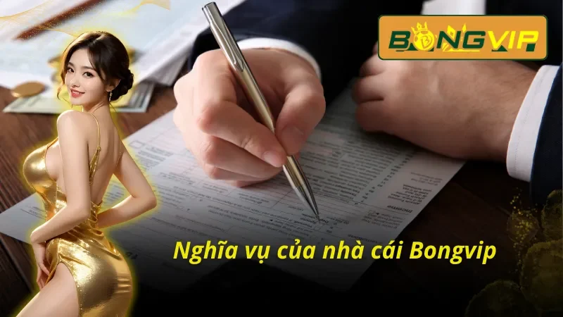 Cập Nhật Các Điều Khoản Và Điều Kiện Bongvip Mới Nhất 4 Nghĩa vụ của nhà cái về điều khoản và điều kiện