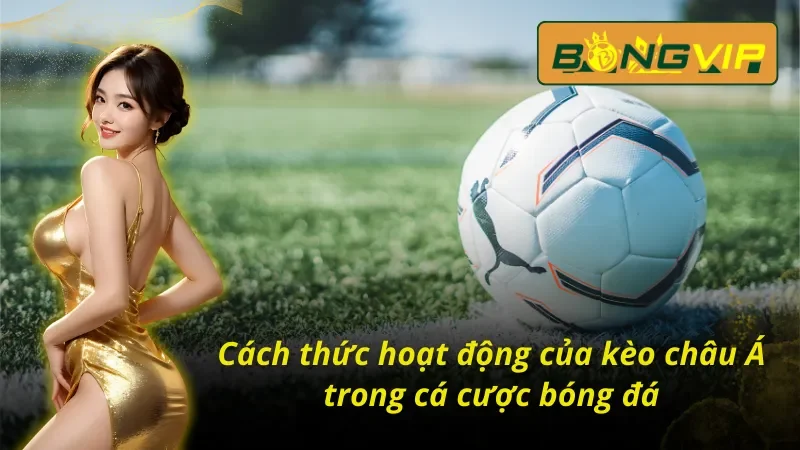 Kèo Châu Á Bongvip - Lựa Chọn Số 1 Tại Nhà Cái Thể Thao 2 Cách chơi kèo Châu Á Bongvip