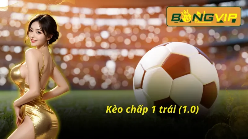 Kèo Châu Á Bongvip - Lựa Chọn Số 1 Tại Nhà Cái Thể Thao 5 Kèo Châu Á Bongvip với cược chấp 1 trái