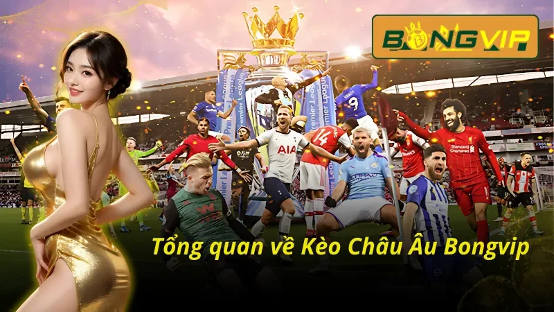 Kèo Châu Âu Bongvip Chinh Phục Đỉnh Cao Cá Cược Thể Thao 2 Giới thiệu tổng quan về kèo Châu Âu Bongvip online