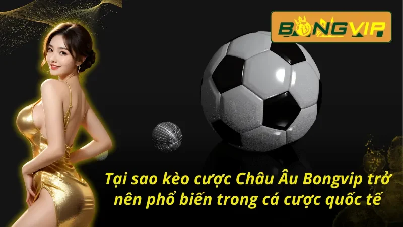 Kèo Châu Âu Bongvip Chinh Phục Đỉnh Cao Cá Cược Thể Thao 3 Đánh giá kèo Châu Âu Bongvip tại nhà cái uy tín