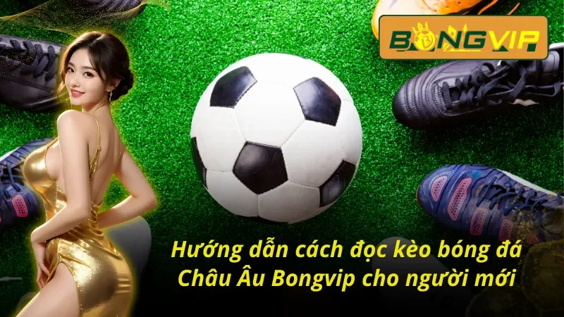 Kèo Châu Âu Bongvip Chinh Phục Đỉnh Cao Cá Cược Thể Thao 4 Bật mí cách đọc kèo Châu Âu Bongvip chuẩn từ cao thủ