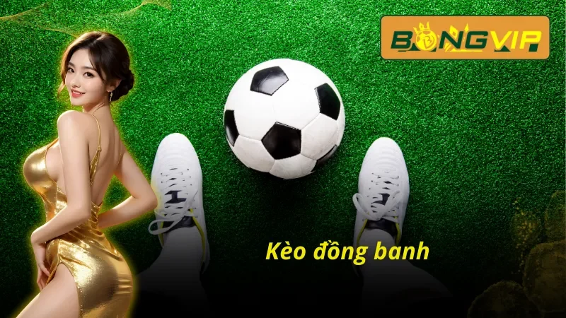 Kèo Hòa Bongvip - Cơ Hội Kiếm Tiền Hiệu Quả Nhất 4 Kèo đồng banh trong kèo hoà Bongvip