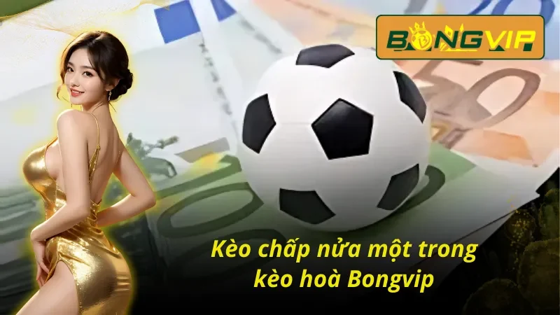 Kèo Hòa Bongvip - Cơ Hội Kiếm Tiền Hiệu Quả Nhất 5 Kèo chấp nửa một trong kèo hoà Bongvip