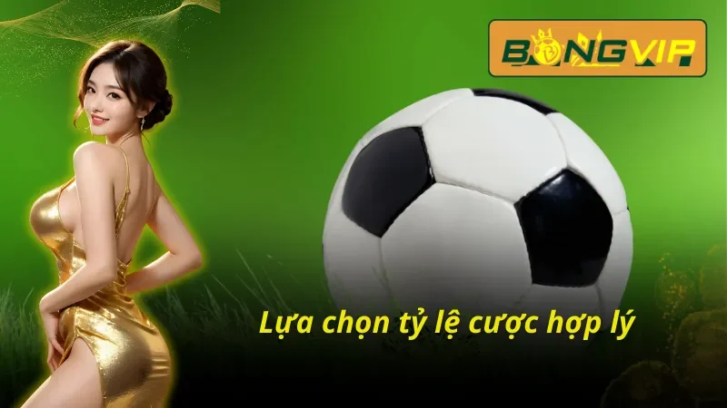 Kèo Hòa Bongvip - Cơ Hội Kiếm Tiền Hiệu Quả Nhất 6 Hãy chọn cho mình mức cược phù hợp khi chọn kèo hoà Bongvip