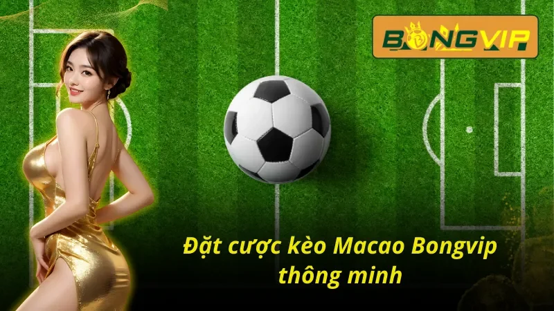 Cách Soi Kèo Macao Bongvip Chuẩn Xác Cho Các Dân Cá Cược 2 Sơ lược về kèo Macao Bongvip