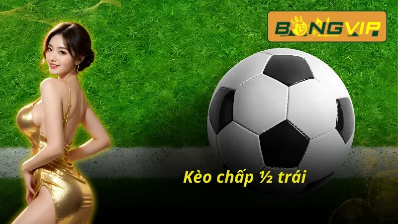 Cách Soi Kèo Macao Bongvip Chuẩn Xác Cho Các Dân Cá Cược 4 Kèo chấp ½ trái hấp dẫn trong kèo macao Bongvip