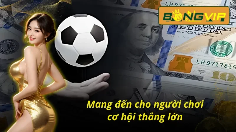 Tìm Hiểu Đọc Kèo Malaysia Bongvip Chuẩn Để Cược Là Thắng 5 Kèo malaysia Bongvip mang đến cơ hội thắng lớn