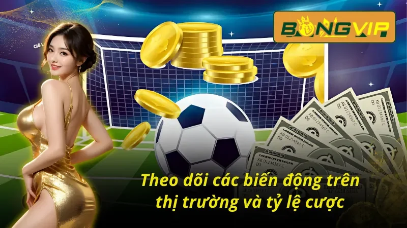 Tìm Hiểu Đọc Kèo Malaysia Bongvip Chuẩn Để Cược Là Thắng 6 Những mẹo chơi hay trong kèo malaysia Bongvip