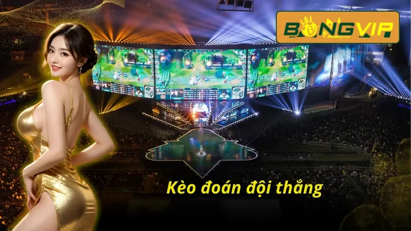 Liên Minh Huyền Thoại(LOL) Bongvip Lựa Chọn Số 1 Của Người Chơi 3 Liên minh huyền thoại(LOL) Bongvip dự đoán đội thắng