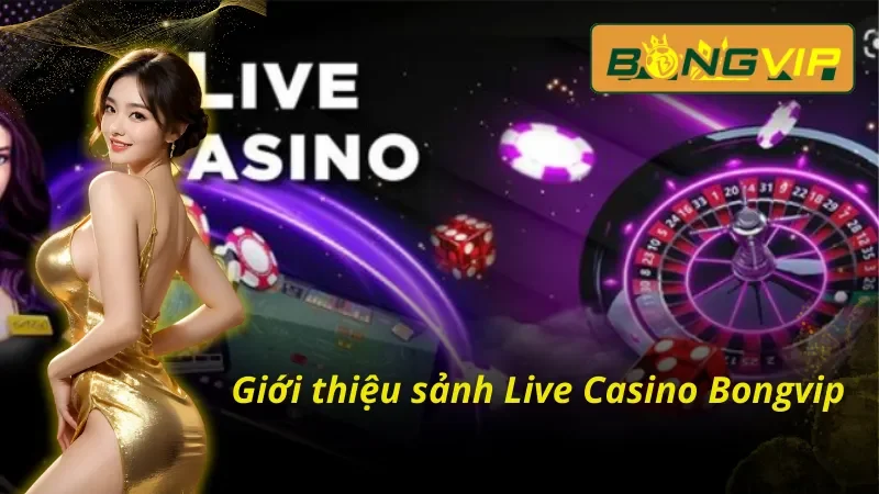 Live Casino Bongvip – Tận Hưởng Không Khí Sòng Bạc Thực Thụ 2 Live Casino Bongvip và những thông tin đáng chú ý