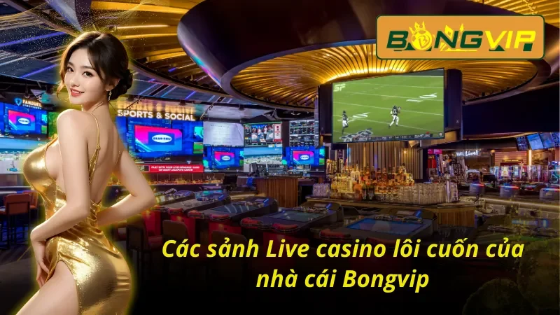 Live Casino Bongvip – Tận Hưởng Không Khí Sòng Bạc Thực Thụ 3 Live Casino Bongvip và các sảnh game nổi bật