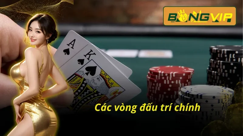 Tham Gia Đấu Trí Poker Bongvip Phá Vỡ Giới Hạn Của Bet Thủ 4 Chi tiết các vòng đấu Poker Bongvip cho bet thủ