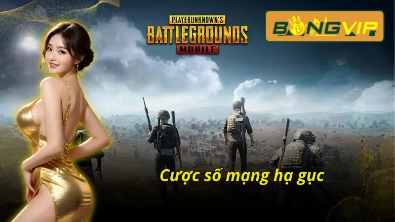 PUBG, PUBG Mobile Bongvip - Thách Thức Mọi Giới Hạn 4 Cược số mạng hạ gục PUBG, PUBG Mobile Bongvip