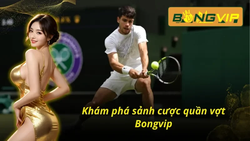 Quần Vợt Bongvip - Kết Nối Đam Mê Cho Các Cược Thủ Thế Giới 2 Khám phá sảnh cược quần vợt Bongvip hàng đầu