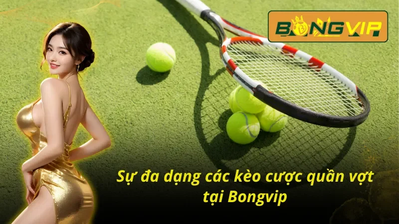 Quần Vợt Bongvip - Kết Nối Đam Mê Cho Các Cược Thủ Thế Giới 5 Sự đa dạng các loại hình kèo cược tại quần vợt Bongvip