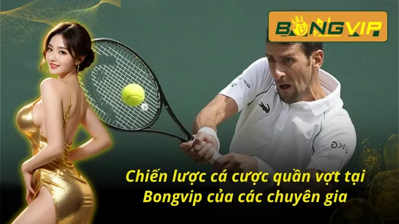 Quần Vợt Bongvip - Kết Nối Đam Mê Cho Các Cược Thủ Thế Giới 7 Chia sẻ chiến lược cùng các chuyên gia quần vợt Bongvip