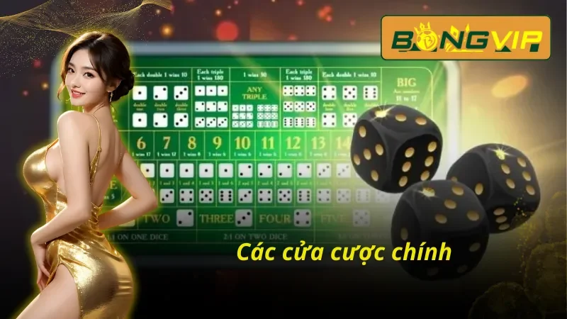 Chinh Phục Sicbo Bongvip Online Nhận Tiền Thưởng Cực Sốc 4 Tổng hợp những cửa cược phổ biến tại Sicbo Bongvip