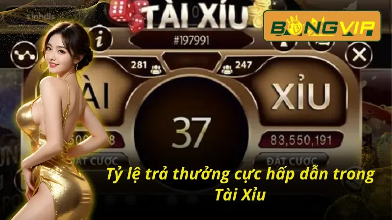 Tài Xỉu Bongvip - Khuynh Đảo Mọi Bàn Cược Cùng Nhà Cái Uy Tín 4 Khám phá tỷ lệ thưởng trong tài xỉu Bongvip