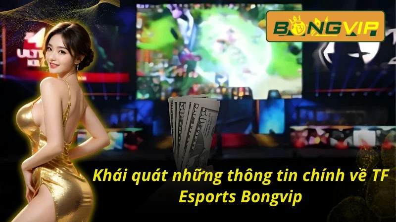TF Esports Bongvip Sảnh Esports Đặc Sắc Nhất Năm 2025 2 Sơ lược về thể thao điện tử tại TF Esports Bongvip