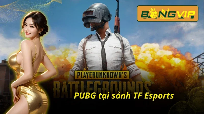 TF Esports Bongvip Sảnh Esports Đặc Sắc Nhất Năm 2025 6 Game sinh tồn PUBG tại TF Esports Bongvip