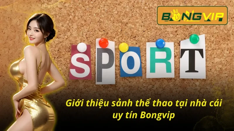 Chinh Phục Thể Thao Bongvip Với Hàng Ngàn Phần Thưởng 2 Đánh giá tổng quan về sảnh thể thao Bongvip