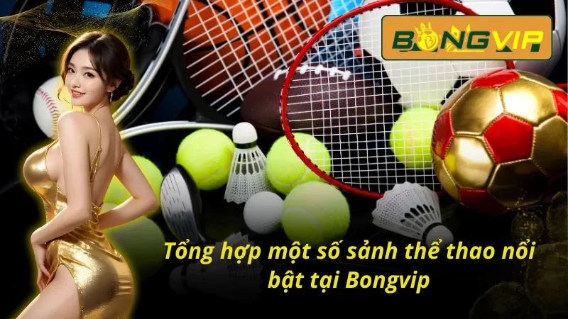 Chinh Phục Thể Thao Bongvip Với Hàng Ngàn Phần Thưởng 4 Một số sảnh thể thao Bongvip cung cấp hiện nay