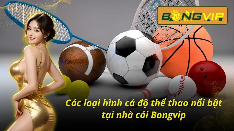 Chinh Phục Thể Thao Bongvip Với Hàng Ngàn Phần Thưởng 5 Một số hình thức cá cược thể thao Bongvip hấp dẫn nhất