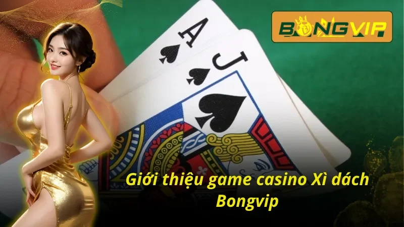 Xì Dách Bongvip – Game Bài Tư Duy Thể Hiện Bản Lĩnh Của Bạn 2 Thông tin cơ bản về Xì dách Bongvip