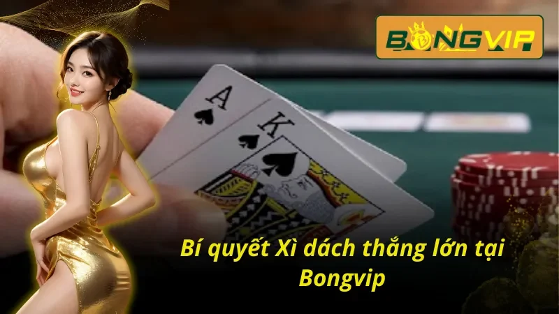 Xì Dách Bongvip – Game Bài Tư Duy Thể Hiện Bản Lĩnh Của Bạn 5 Bí quyết chinh phục Xì dách Bongvip