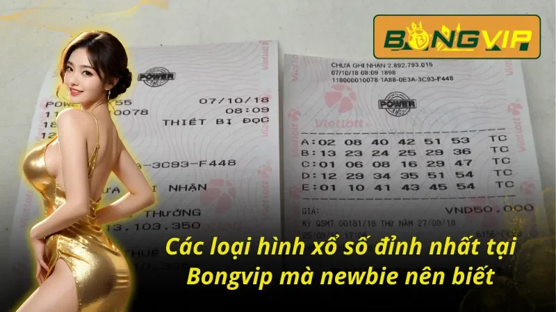 Xổ Số Vietlott Bongvip - Thiên Đường Giúp Hội Viên Làm Giàu 4 Các loại hình xổ số Vietlott Bongvip mà newbie nên biết